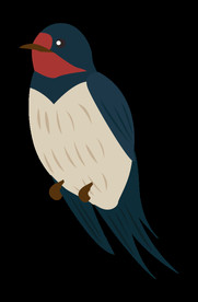 免扣燕子素材图片