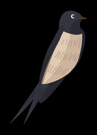 免扣燕子素材图片