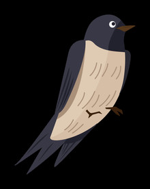 免扣燕子素材图片