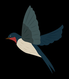 免扣燕子素材图片