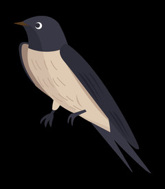 免扣燕子素材图片