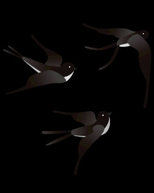 免扣燕子素材图片