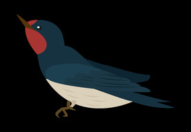 免扣燕子素材图片