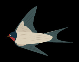 免扣燕子素材图片