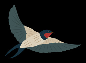 免扣燕子素材图片