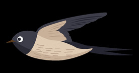 免扣燕子素材图片