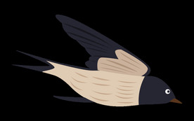 免扣燕子素材图片