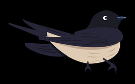 免扣燕子素材图片