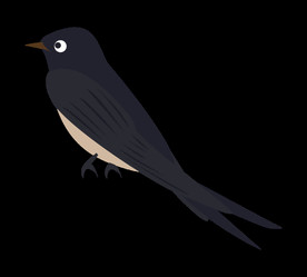 免扣燕子素材图片