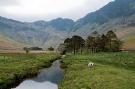 中世纪田园风景摄影图