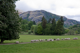 中世纪田园风景摄影图