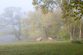 中世纪田园风景摄影图