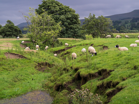 中世纪田园风景摄影图