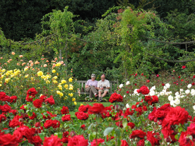 中世纪田园风景摄影图