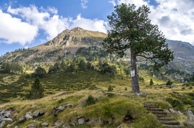 中世纪田园风景摄影