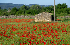中世纪田园风景摄影图