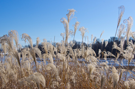 中世纪田园风景摄影图
