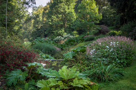 中世纪田园风景摄影图