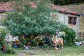 中世纪田园风景摄影图