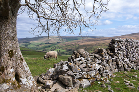 中世纪田园风景摄影图