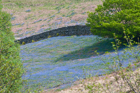 中世纪田园风景摄影图
