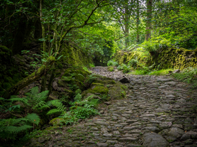 中世纪田园风景摄影图