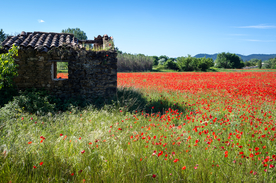 中世纪田园风景摄影图