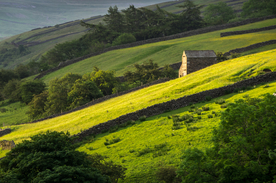 中世纪田园风景摄影图