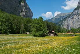 中世纪田园风景摄影