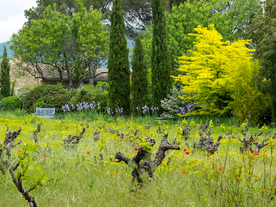 中世纪田园风景摄影图