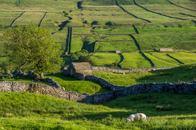 中世纪田园风景摄影图