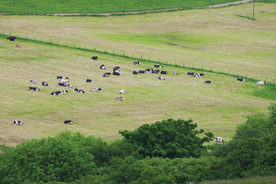 中世纪田园风景摄影图