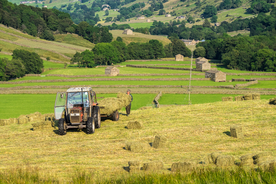 中世纪田园风景摄影图