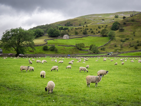 中世纪田园风景摄影图