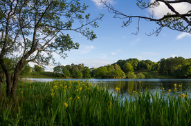 中世纪田园风景摄影图