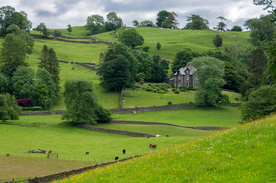 中世纪田园风景图