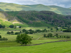 中世纪田园风景图