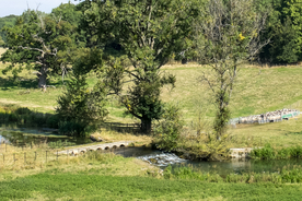 中世纪田园风景图