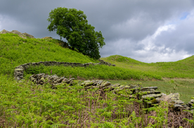 中世纪田园风景图