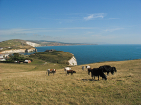 中世纪田园风景图