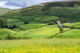 中世纪田园风景图