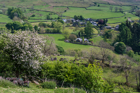 中世纪田园风景图