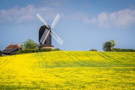 中世纪田园风景图