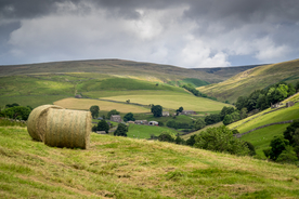 中世纪田园风景图