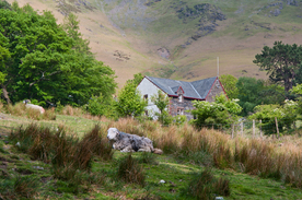 中世纪田园风景图