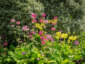 中世纪田园风景图