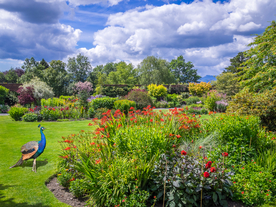 中世纪田园风景图