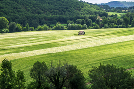 中世纪田园风景图