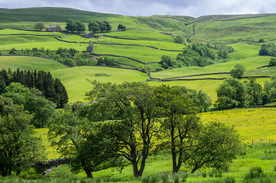 中世纪田园风景图