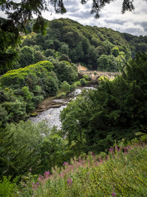 中世纪田园风景图